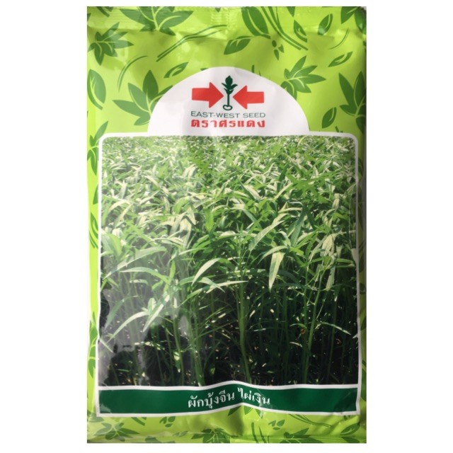 EWCOM แบ่งถุงใสขาย เมล็ดพันธุ์ ผักบุ้งจีนใบไผ่ ไผ่เงิน 500กรัม ตราศรแดง Chinese Convolvulus ต้นอ่อนผักบุ้ง
