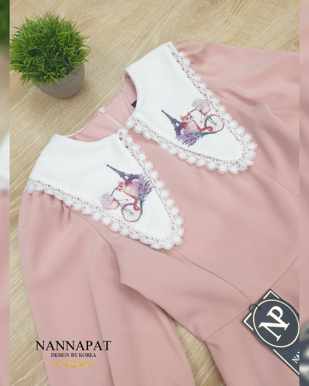 เซทเสื้อซิปหลังปกคอน่ารักเก๋