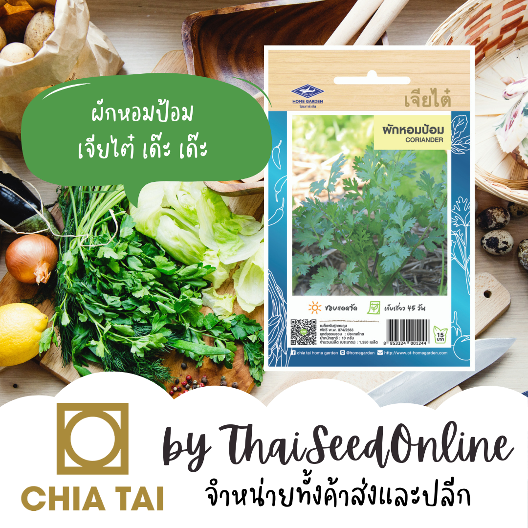 CTOP เมล็ดพันธุ์ หอมป้อม ผักชีต้นเล็ก ตราเจียไต๋ Coriander (a.k.a Cilantro)