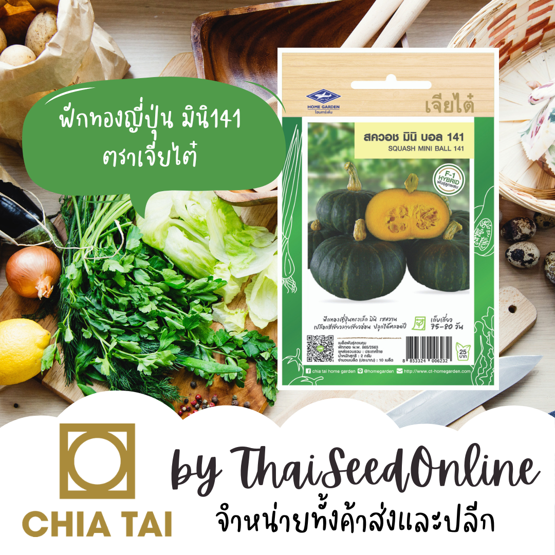 CTF1 ซฟ เมล็ดพันธุ์ ฟักทองญี่ปุ่นมินิ141 สควอช ตราเจียไต๋
