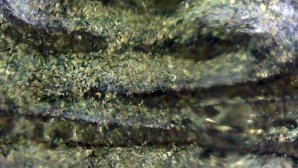 พระมเหศวรพิมพ์ใหญ่กรุวัดพระศรีรัตนมหาธาตุ องค์ที่ 5