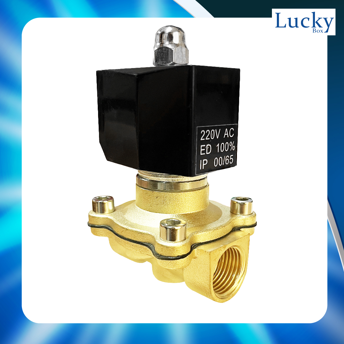 Solenoid Valve โซลินอยด์ทองเหลือง 1/2 นิ้ว (4 หุน) AC220V
