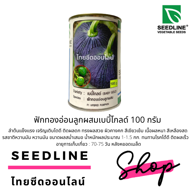 กป 100 กรัม เมล็ดพันธุ์ ฟักทองบึงกาฬ ฟักทองอ่อนลูกผสม เบบี้โกลด์ ตราซีดไลน์ (Pumpkin BABY GOLD) ฟักทองสังขยา