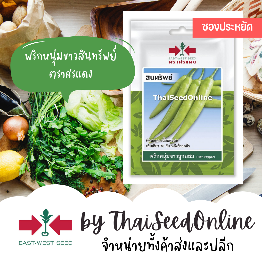 ศรแดง VP3 ซฟ เมล็ดพันธุ์ พริกหนุ่มขาวลูกผสม สินทรัพย์ 40เมล็ด ตราศรแดง พริกหนุ่ม Pepper