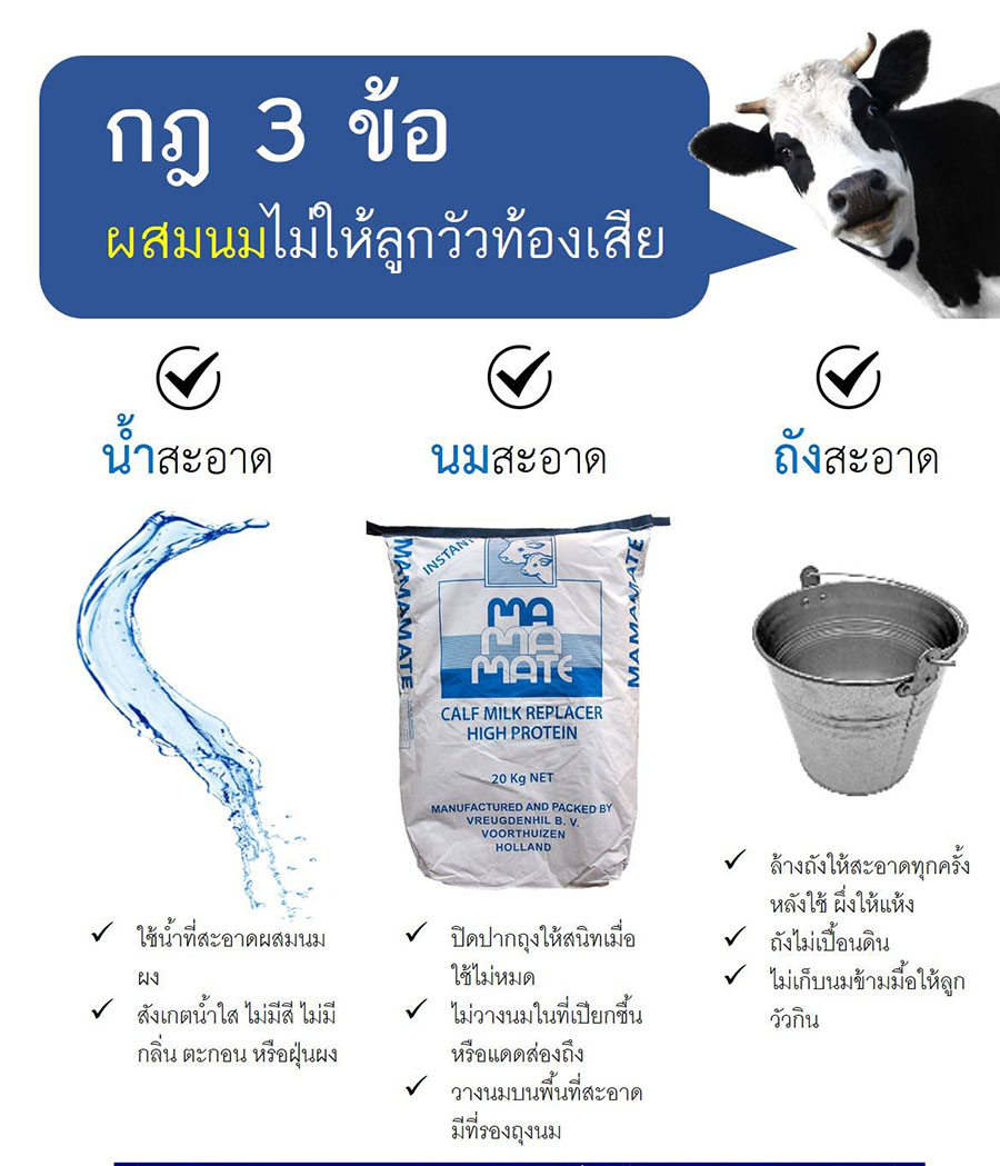 mamamate นมผง สำหรับสัตว์ นมผงสำหรับลูกวัว ลูกโค กระบือ นมเลี้ยงลูกวัว