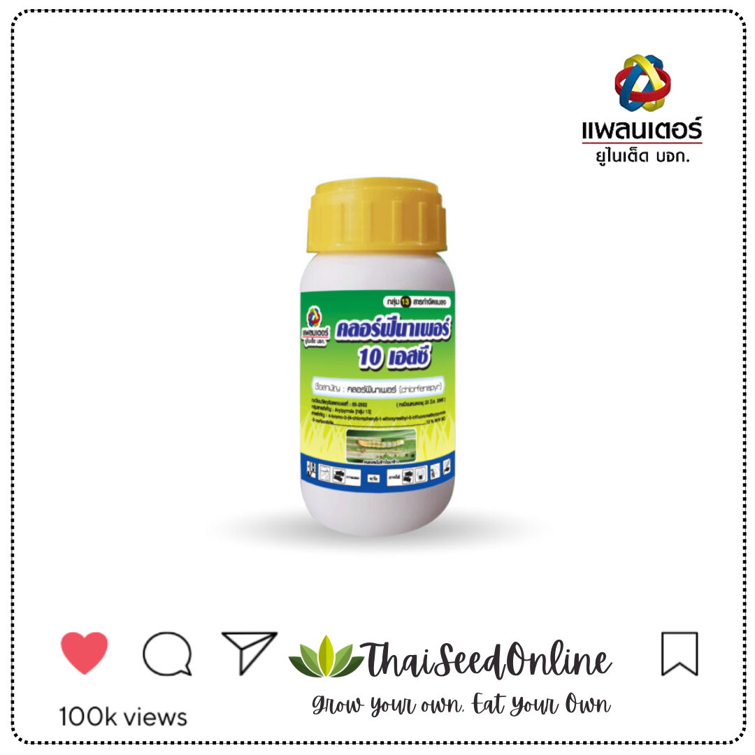 PTU ขวด250ซีซี คลอฟีนาเพอร์ พียู แพลนเตอร์ยูไนเต็ด