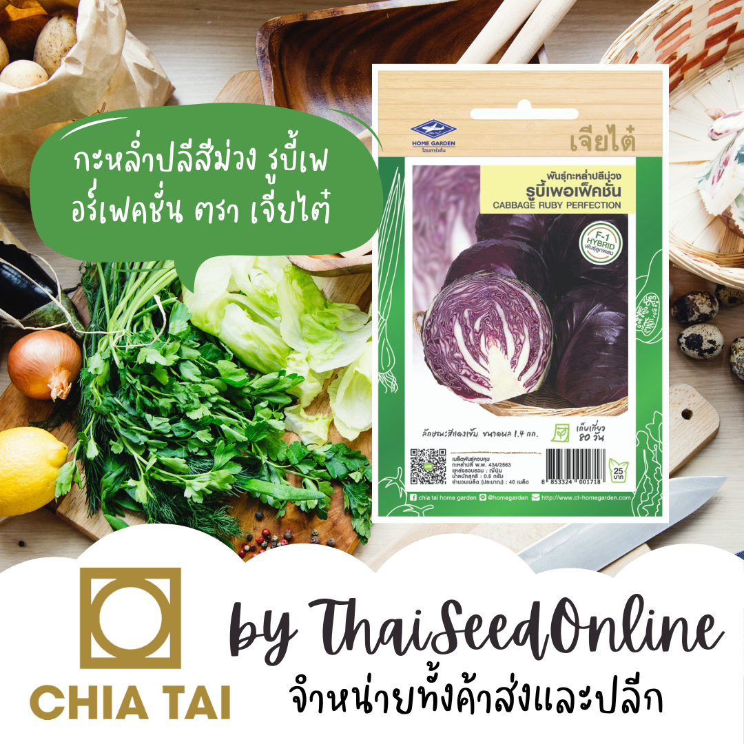 CTF1 เมล็ดพันธุ์ กะหล่ำปลี สีม่วง รูบี้เพอร์เฟคชั่น 40 เมล็ด ตราเจียไต๋ กะหล่ำม่วง Cabbage