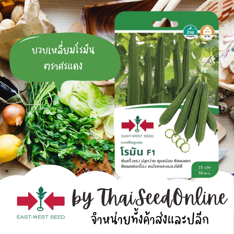 Sorndang(ศรแดง) GGEW เมล็ดพันธุ์ซฟ เมล็ดพันธุ์ บวบเหลี่ยมโรมัน 25เมล็ด ตราศรแดง Angled Gourd