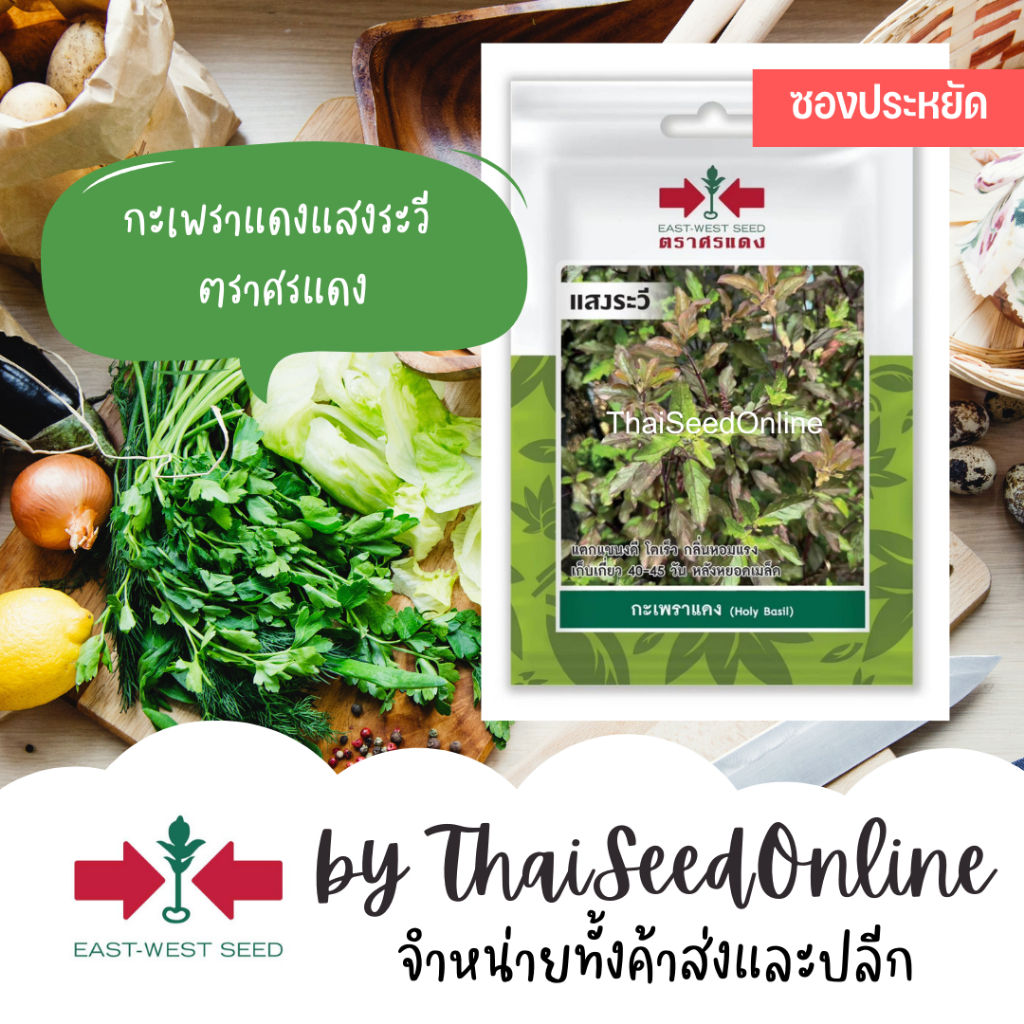 ตราศรแดง VP3 ซฟ เมล็ดพันธุ์ กะเพราแดง แสงระวี ตราศรแดง Holy Basil