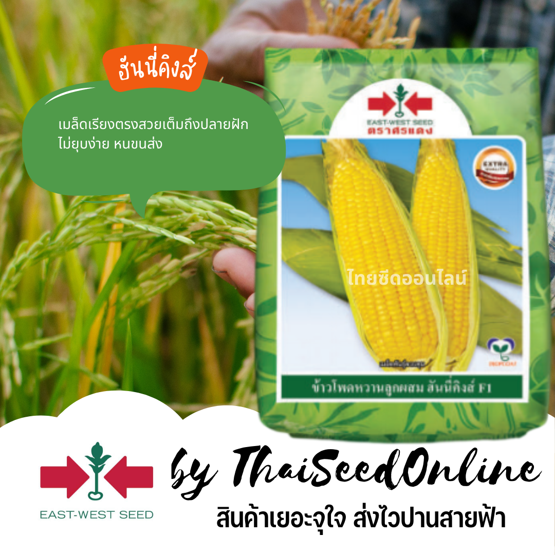EWCOM 500กรัม/1กก เมล็ดพันธุ์ ข้าวโพดหวานฮันนี่คิงส์ ตราศรแดง