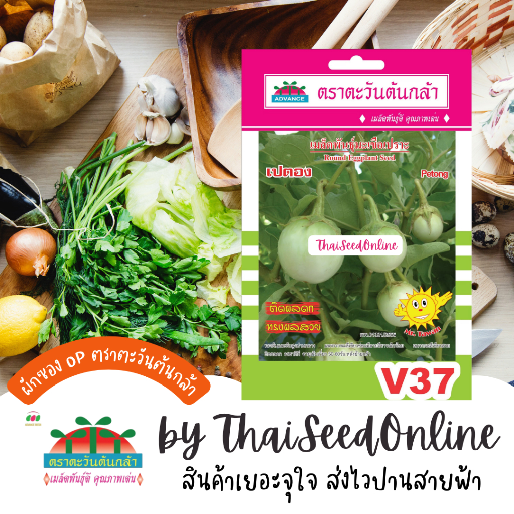 Advance Seeds(ตราตะวันต้นกล้า) ADVOP ซฟ เมล็ดพันธุ์ มะเขือเปราะ เปตอง ตราตะวันต้นกล้า V37