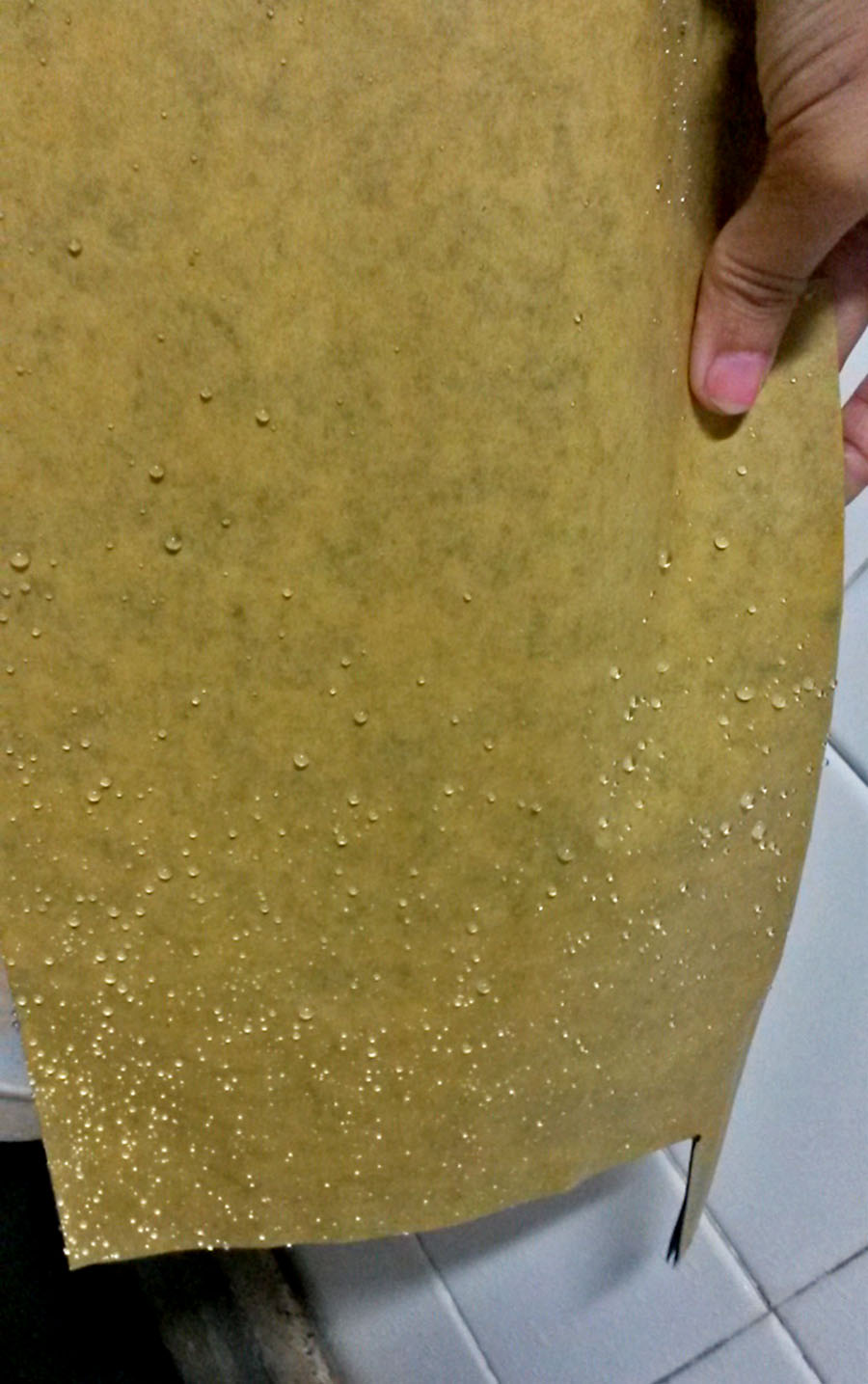 ถุงกระดาษห่อมะม่วง ถุงห่อมะม่วง ถุงกระดาษห่อผลไม้ ถุงคาร์บอน ถุงกระดาษเคลือบกันน้ำสองชั้น