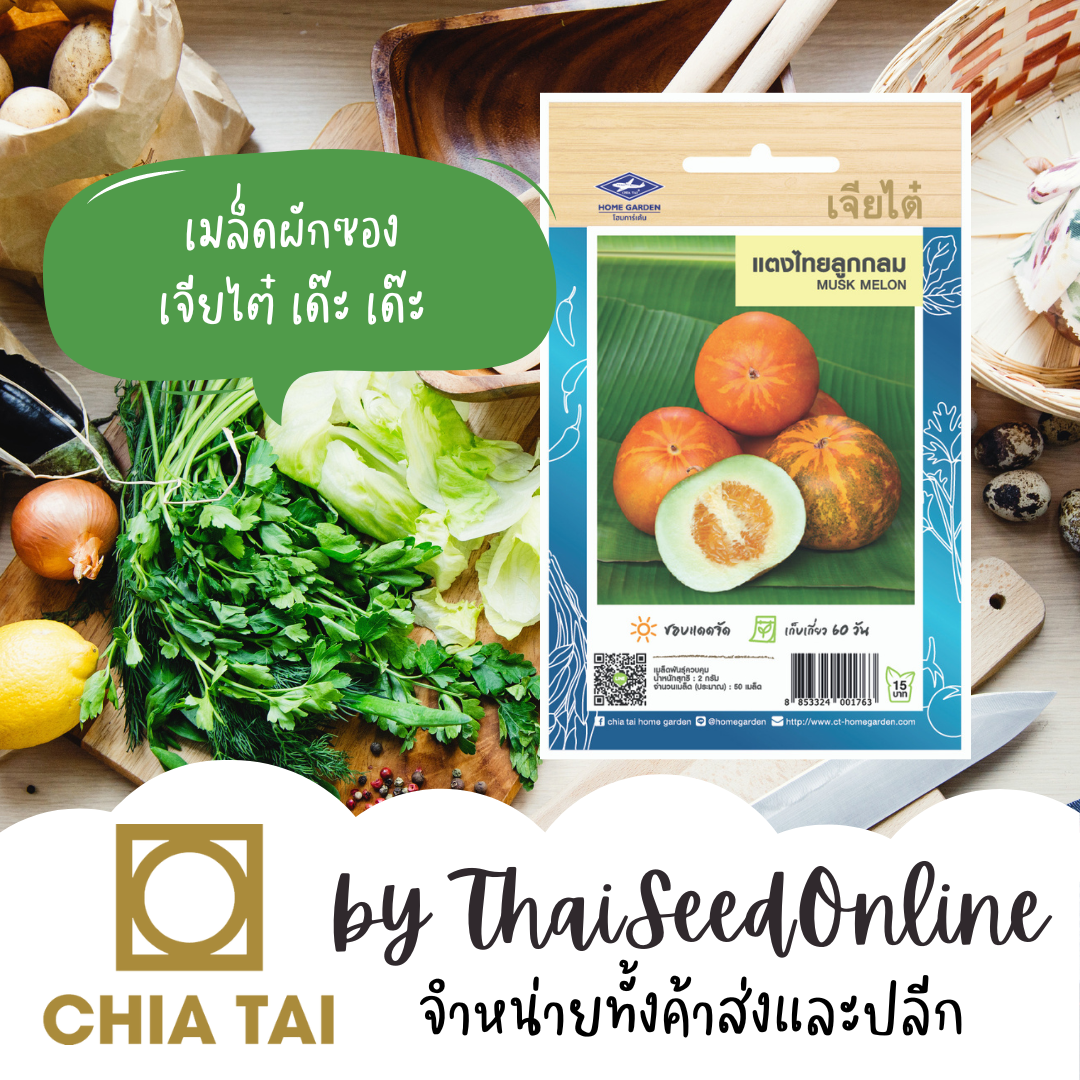 CTOP เมล็ดพันธุ์ แตงไทยผลกลม ตราเจียไต๋ Musk Melon แตงไทย