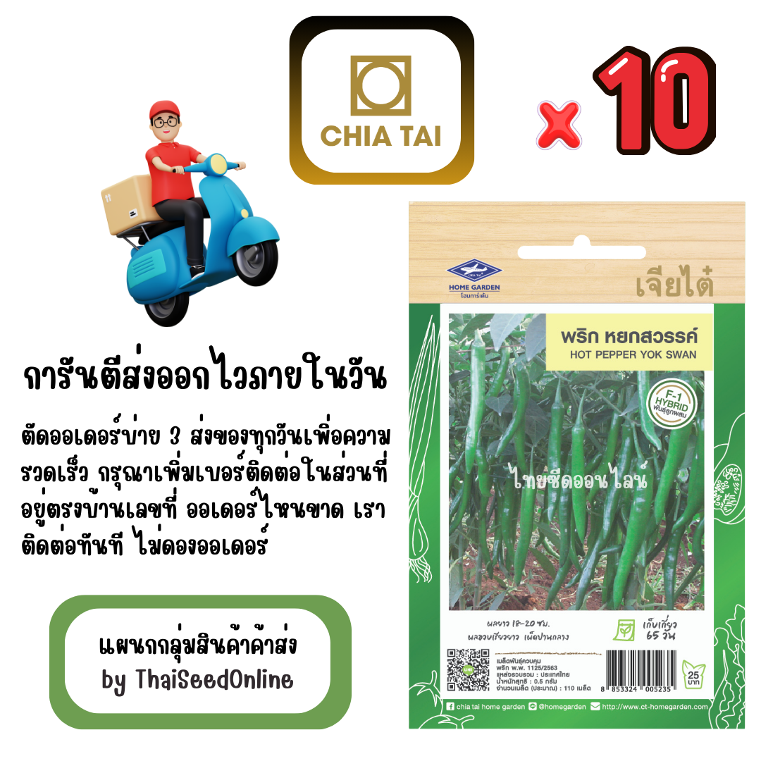 CTF1 x 10 เมล็ดผักซองเจียไต๋ พริกหนุ่มเขียว หยกสวรรค์ สินค้ายกแพ็ค