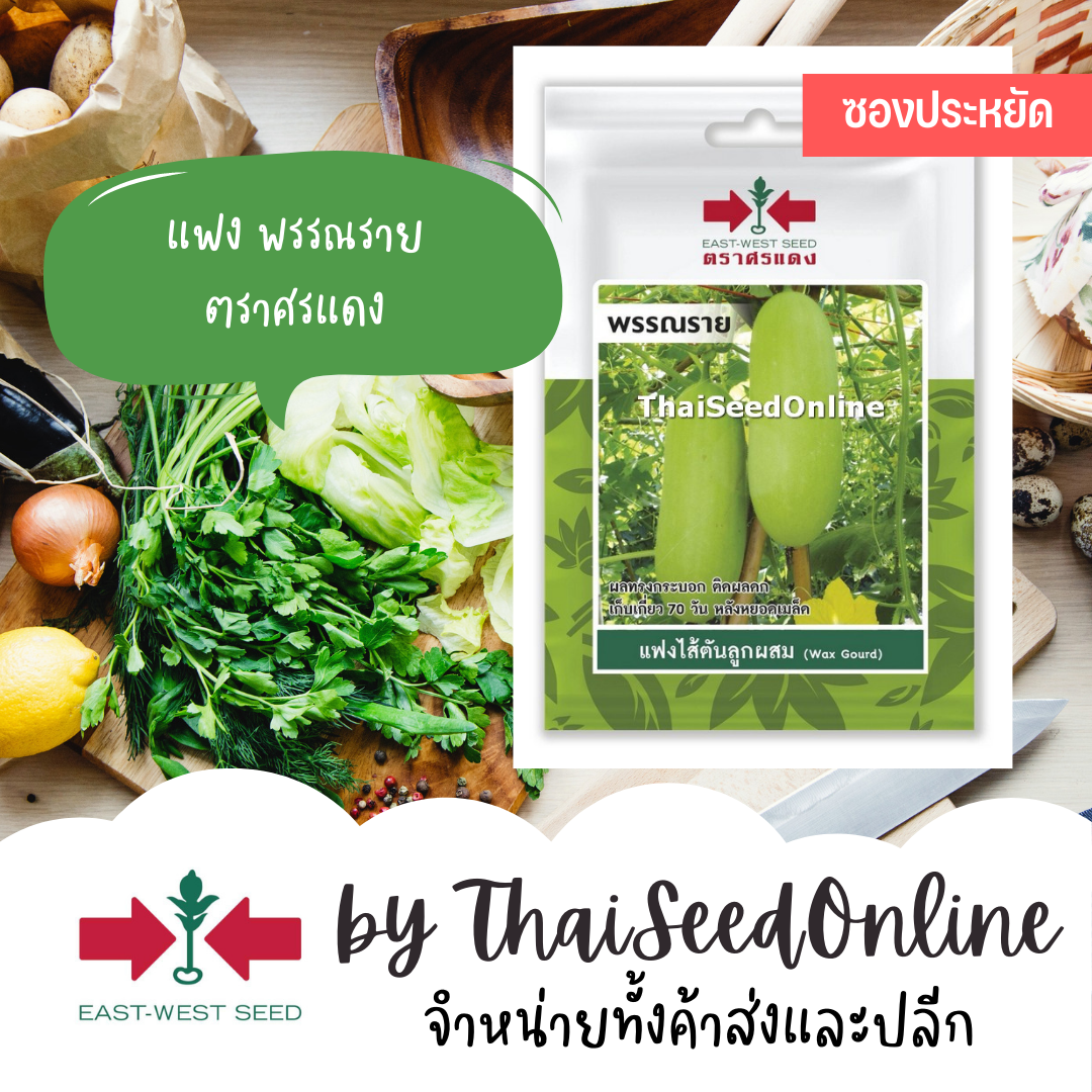 ศรแดง VP3 ซฟ เมล็ดพันธุ์ แฟงไส้ตัน ลูกผสม พรรณราย 20เมล็ด ตราศรแดง แฟง Wax Gourd