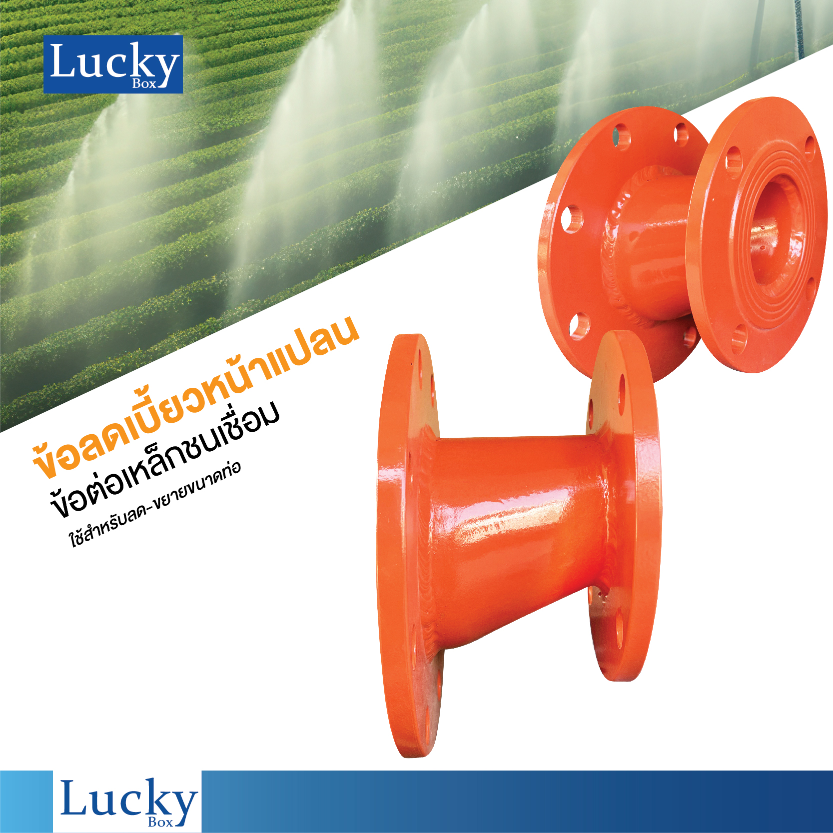 ข้อต่อเชื่อมชน ข้อลดเบี้ยวหน้าแปลน ขนาด 2-1/2x4 นิ้ว (Butt Weld Eccentric Reducer)