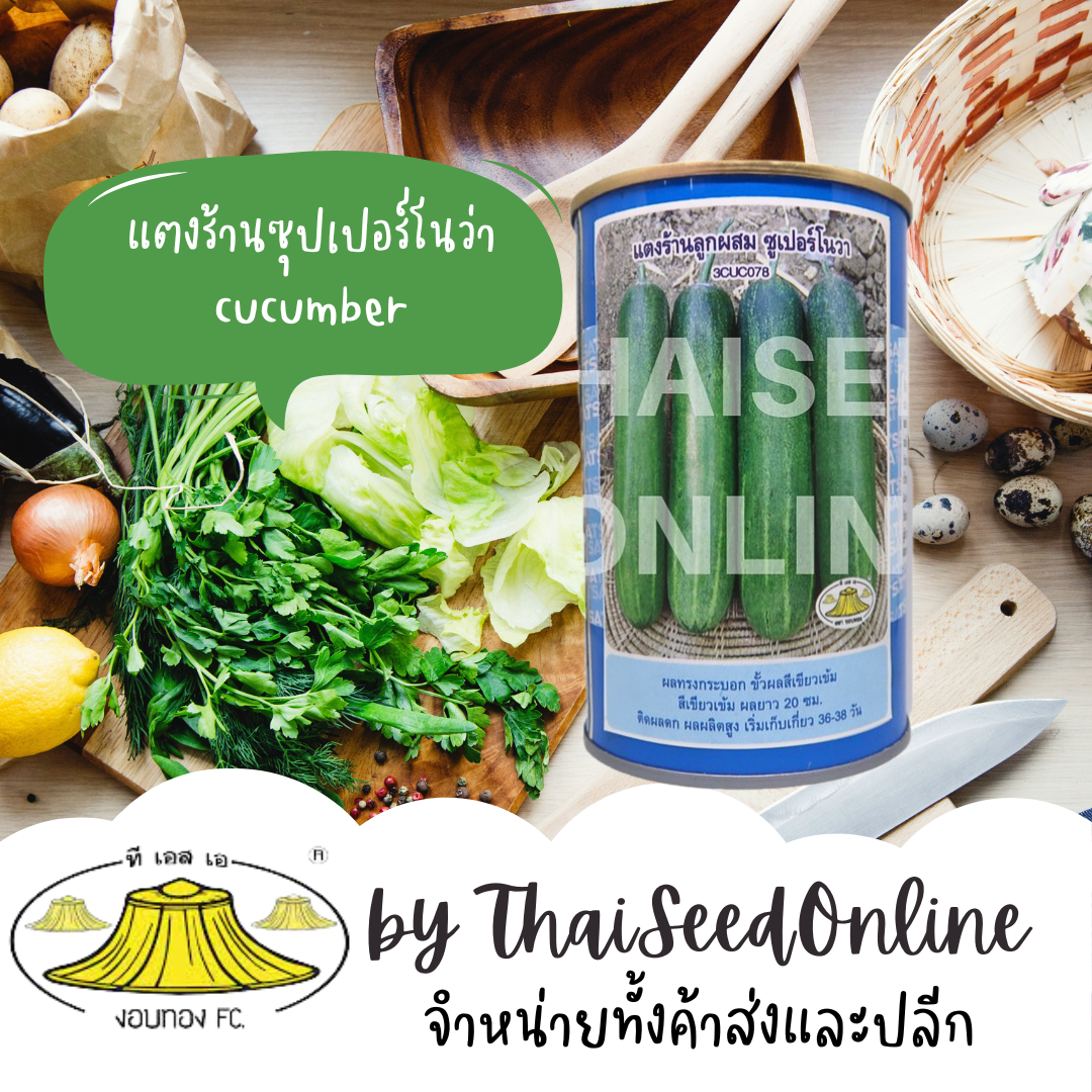 เมล็ดพันธุ์ แตงร้านซุปเปอร์โนว่า 100กรัม ตรางอบทอง