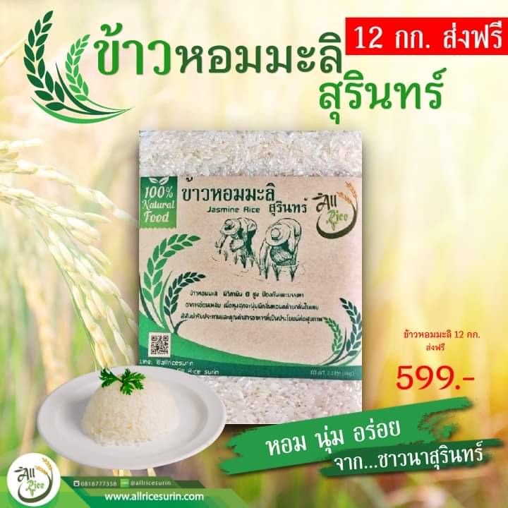 ข้าวหอมมะลิสุรินทร์ ขนาด 1 กก 12 แพ๊ค