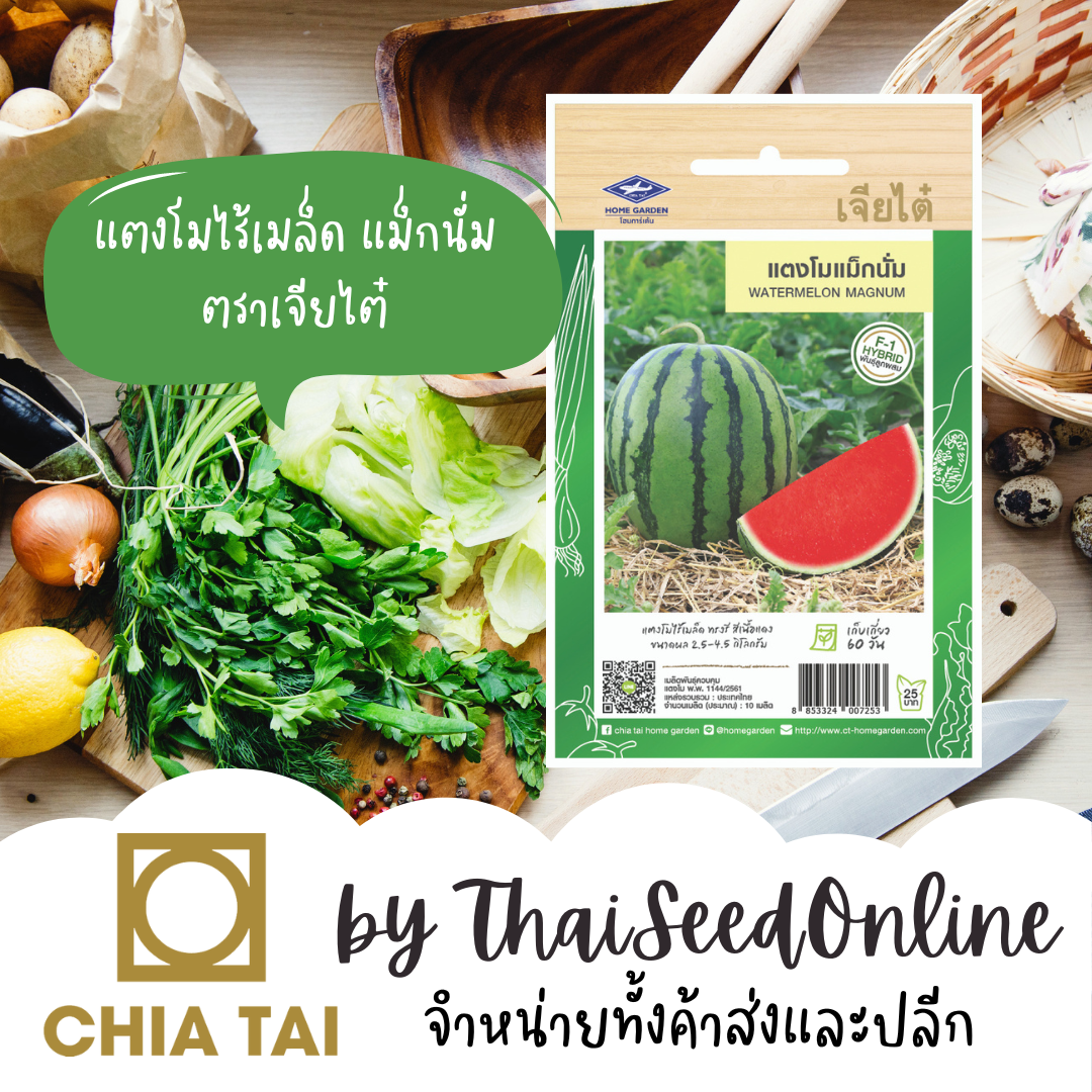 CTF1 เมล็ดพันธุ์ แตงโมไร้เมล็ด แตงโมแม็กนั่ม 10 เมล็ด ตราเจียไต๋ Seedless Watermelon