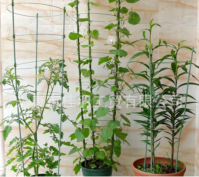 ค้างไม้เลื้อย ไม้กระถาง ลวดล้อมไม้