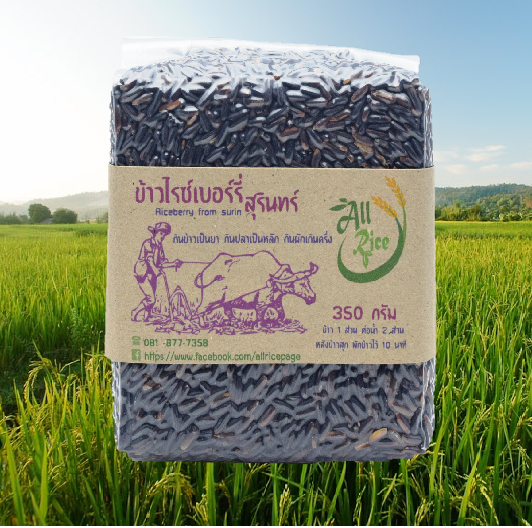 ข้าวไรซ์เบอร์รี่ 350 กรัม