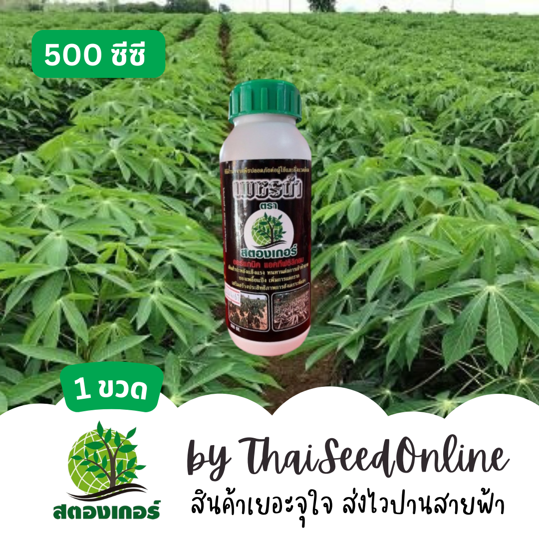 เพชรดำเร่งราก สตรองเกอร์ 500 ซีซี ฮอรโมนเร่งมัน แช่ราก