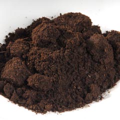พีชมอส พีทมอส Peat moss วัสดุปลูก