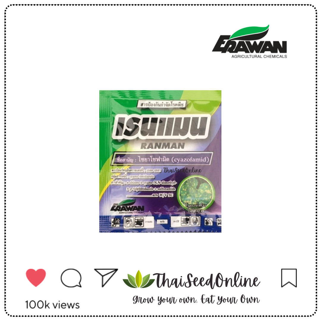 EF ซอง 10ซีซี เรนแมน ชื่อสามัญ : ไซยาโซฟามิด สูตรผสม 40% W/V SC โรคราน้ำค้าง โรครากเน่า และลำต้นเน่า โรคเส้นดำ
