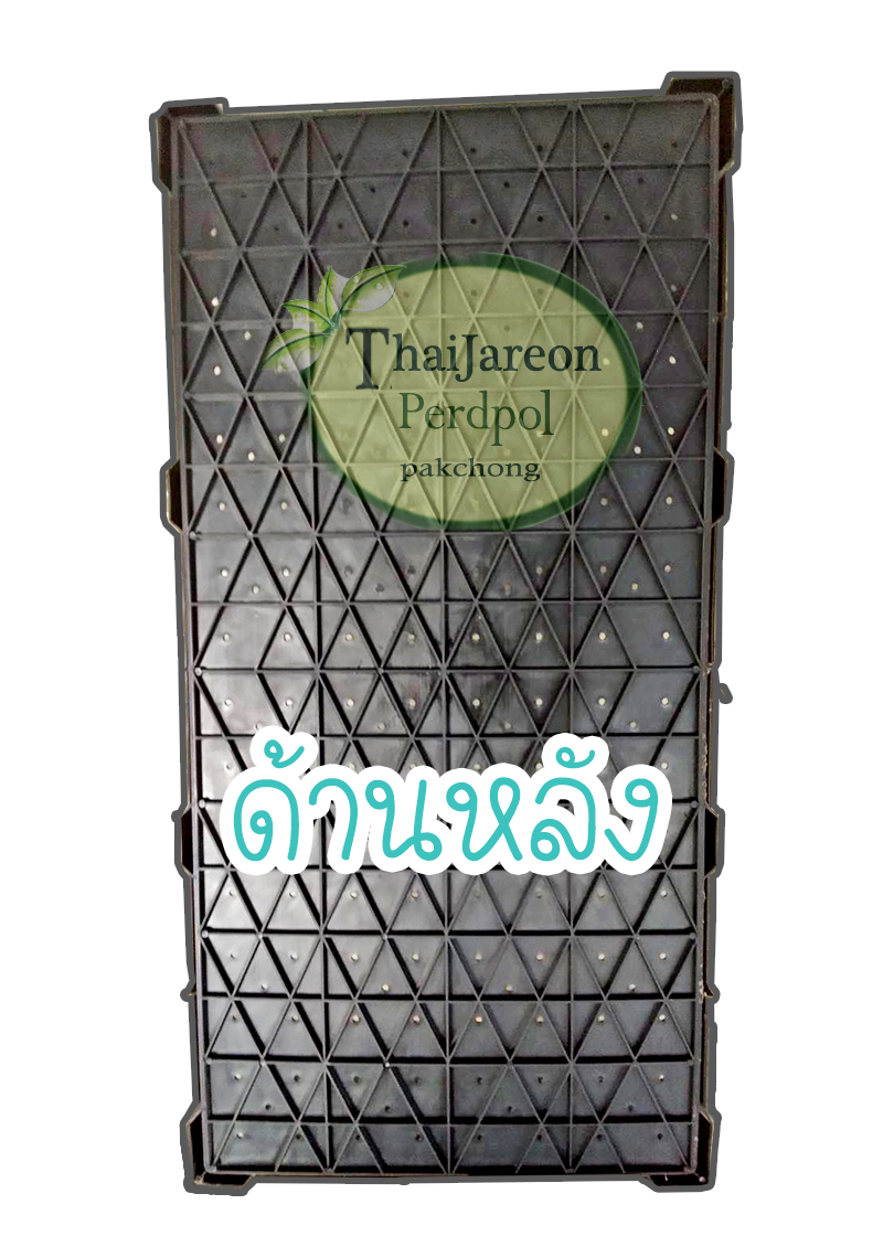 ถาดเพาะต้นอ่อนทานตะวัน ถาดเพาะต้นอ่อน ถาดเพาะถั่วงอก
