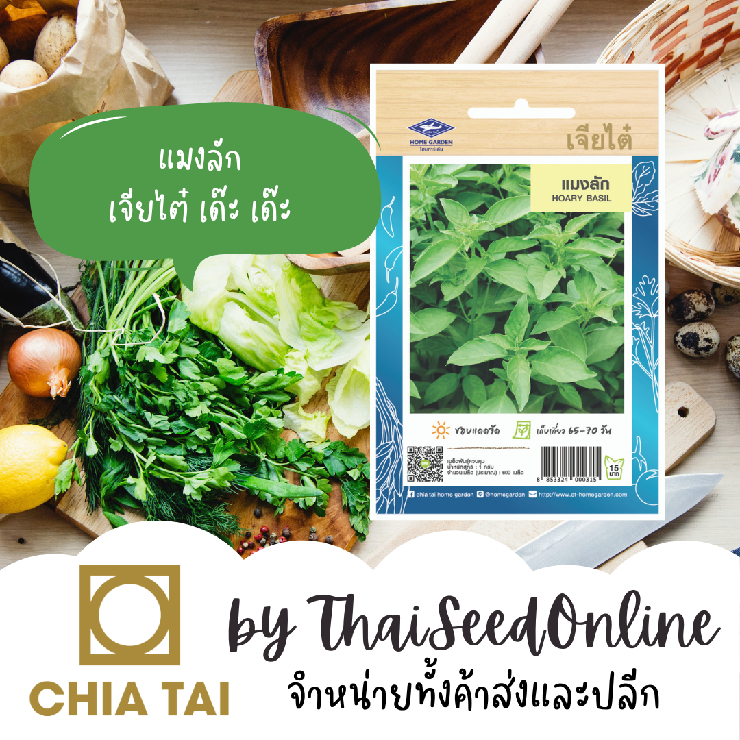 CTOP เมล็ดพันธุ์ แมงลัก อีตู่ 600 เมล็ด ตราเจียไต๋ Hoary Basil
