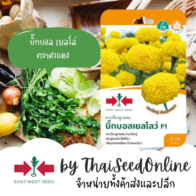 ตราศรแดง GGEW เมล็ดพันธุ์ ดาวเรืองลุกผสม บิ๊กบอล เยลโล่ 20เมล็ด ตราศรแดง Marigol