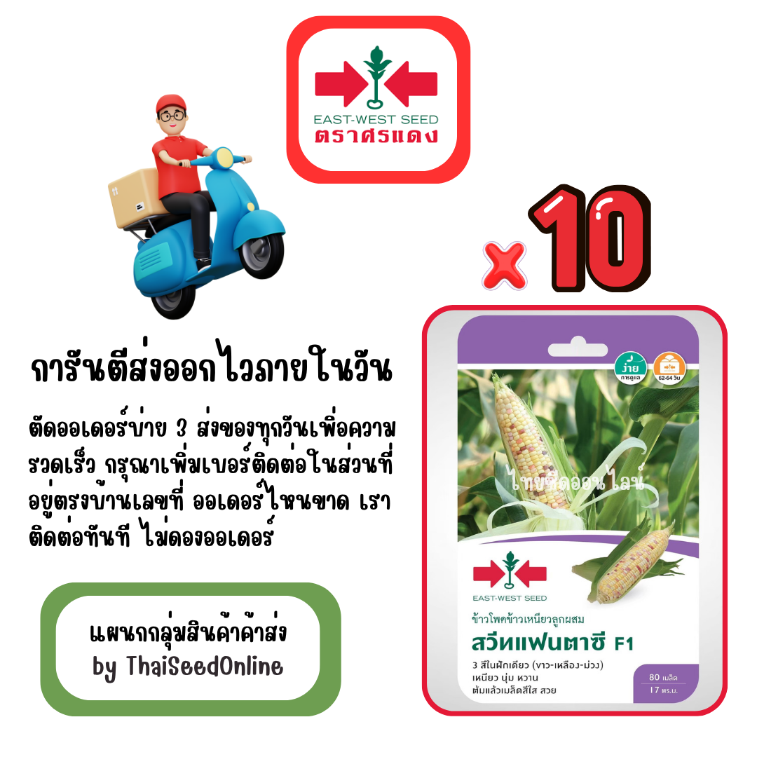 GGx10 เมล็ดผักซองศรแดง สวีทแฟนตาซี ข้าวโพด สินค้ายกแพ็ค