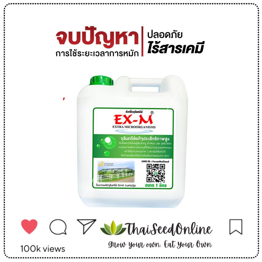 EM จุลินทรีย์ อีเอ็ม Microbial Inoculents 1 ลิตร Hormones