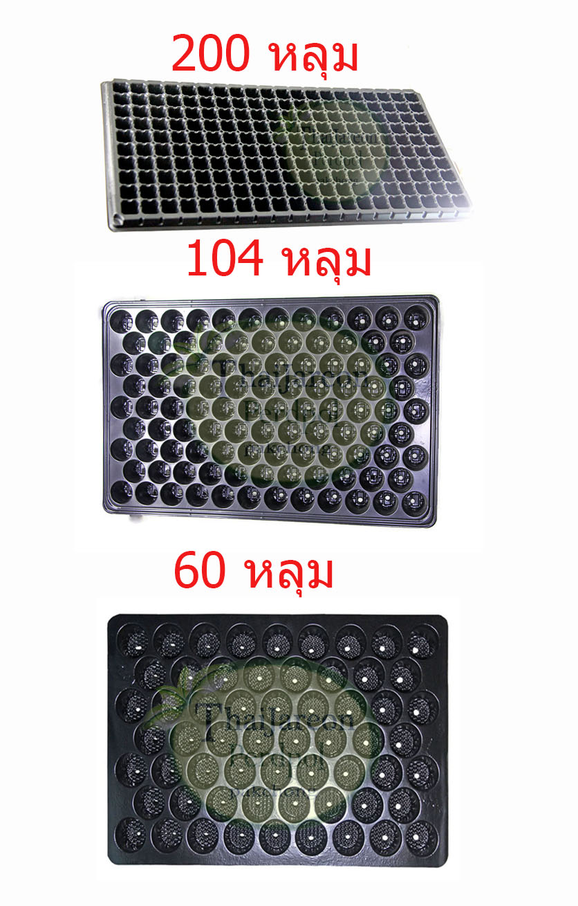 ถาดเพาะหลุม ถาดเพาะชำ ถาดเพาะกล้าสีดำ