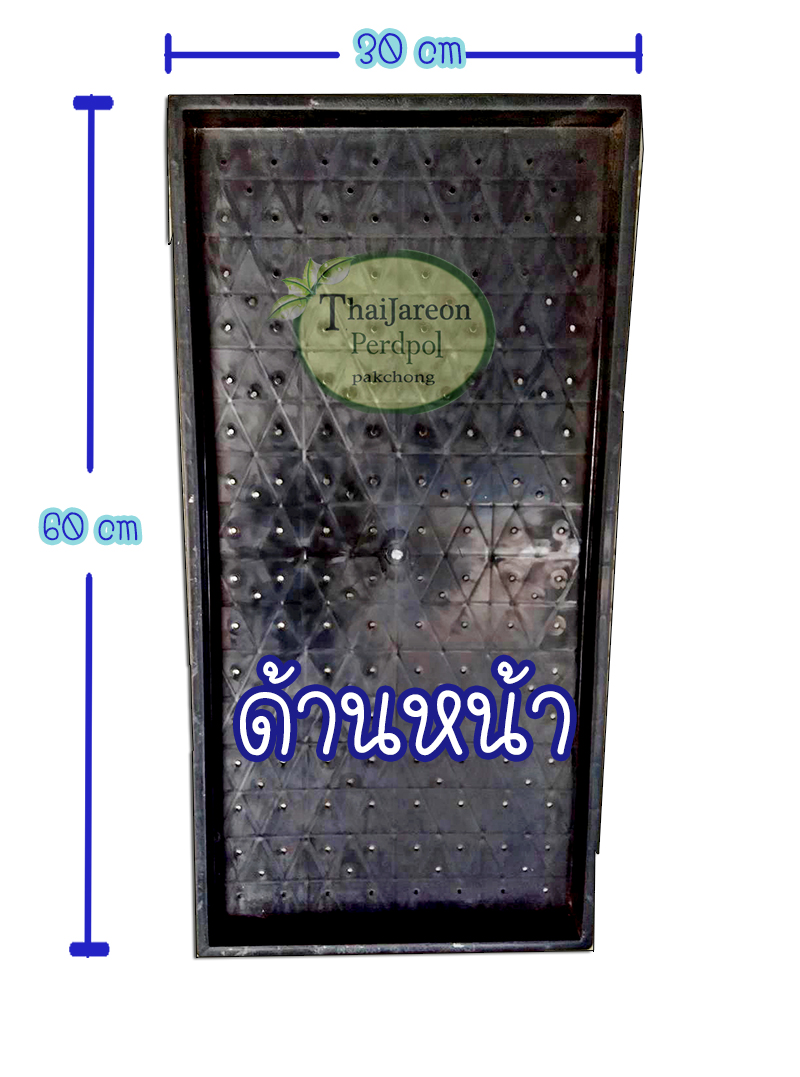 ถาดเพาะต้นอ่อนทานตะวัน ถาดเพาะต้นอ่อน ถาดเพาะถั่วงอก