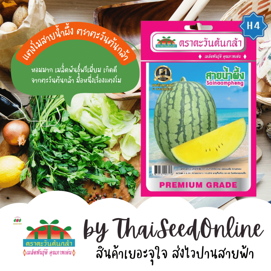 Advance Seeds(ตราตะวันต้นกล้า) ADVF1 เมล็ดพันธุ์ แตงโมF1 แตงโมสายน้ำผึ้ง ตราตะวันต้นกล้า H4 Watermelon
