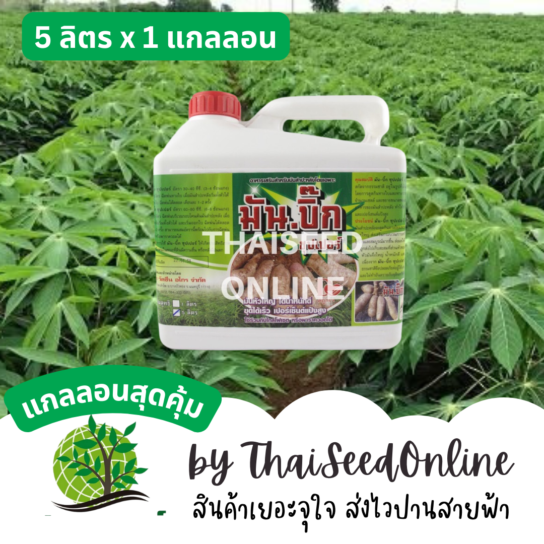 D ฮอร์โมนมัน สูตรลงหัว มันหัวใหญ่ มันบิ๊ก 5 ลิตร