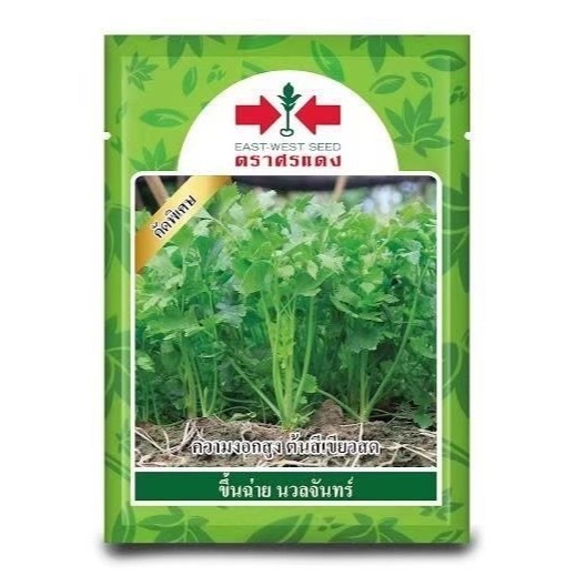 Sorndang(ศรแดง) EWCOM เมล็ดพันธุ์ คื่นช่าย นวลจันทร์ 50กรัม ตราศรแดง Celery