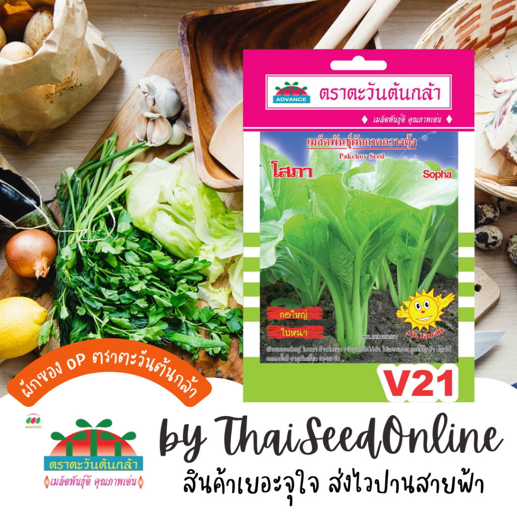 Advance Seeds(ตราตะวันต้นกล้า) ADVOP ซฟ เมล็ดพันธุ์ ผักกาดกวางตุ้งโสภา ประมาณ 3300 เมล็ด ตราตะวันต้นกล้า V21