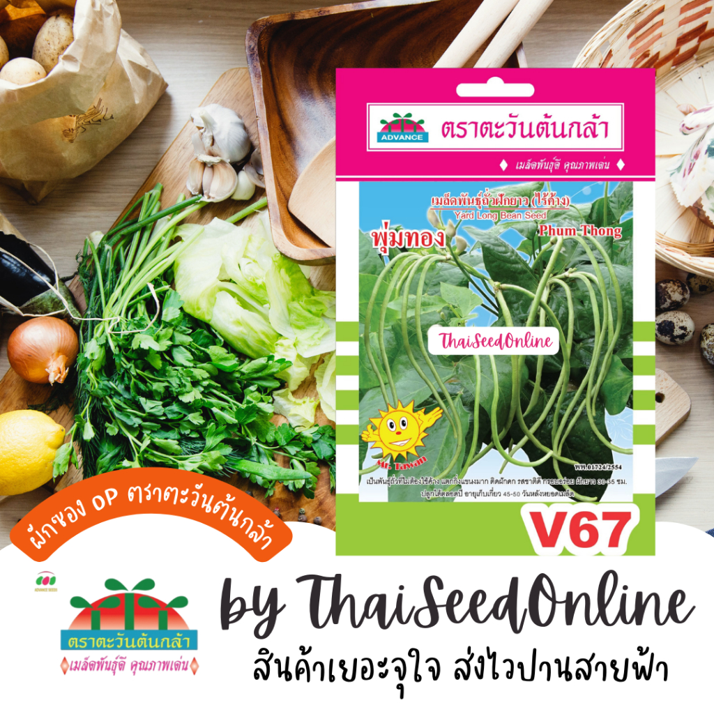 Advance Seeds(ตราตะวันต้นกล้า) ADVOP ซฟ เมล็ดพันธุ์ ถั่วไร้ค้าง พุ่มทอง ตราตะวันต้นกล้า V67
