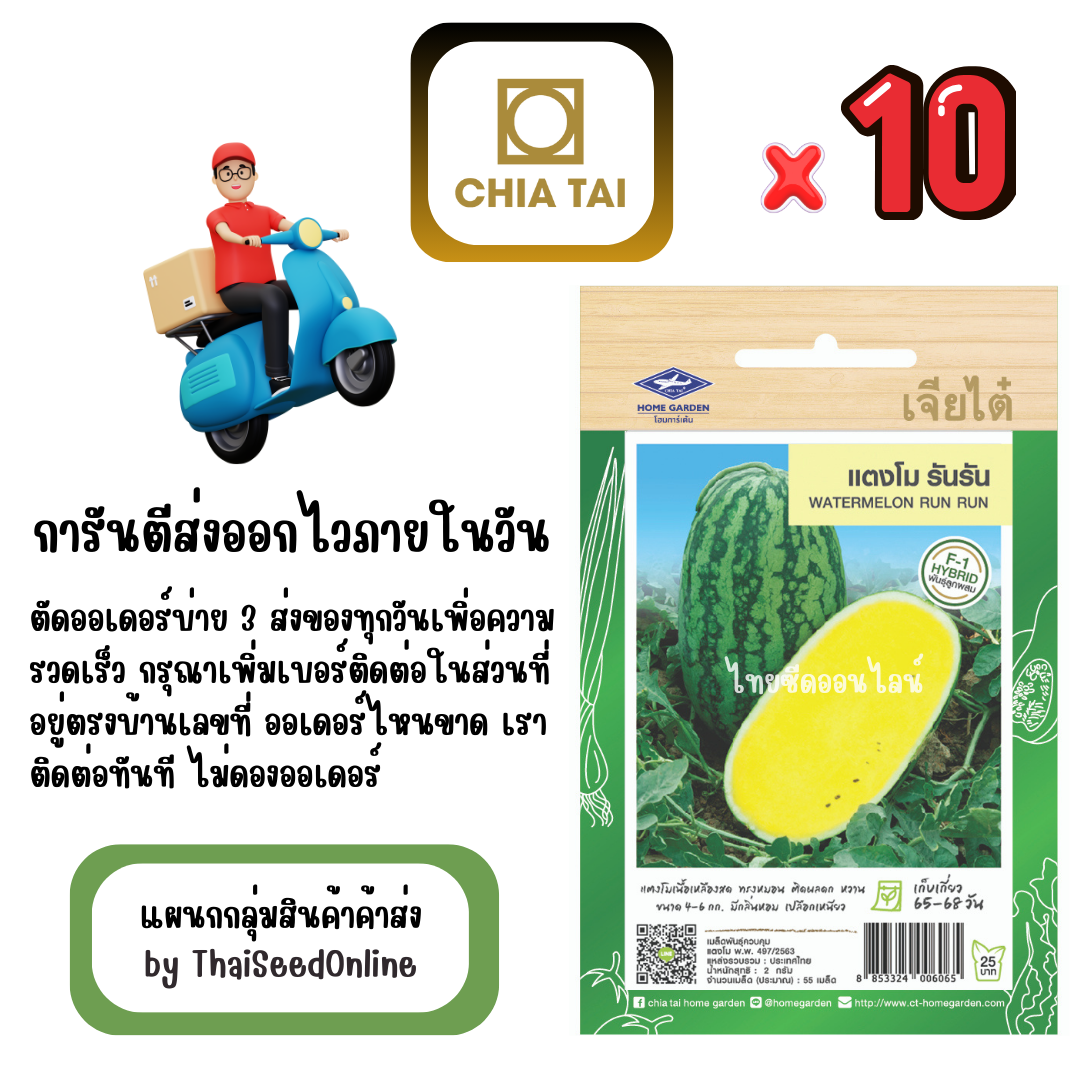 CTF1 x 10 เมล็ดผักซองเจียไต๋ แตงโม รันรัน สินค้ายกแพ็ค