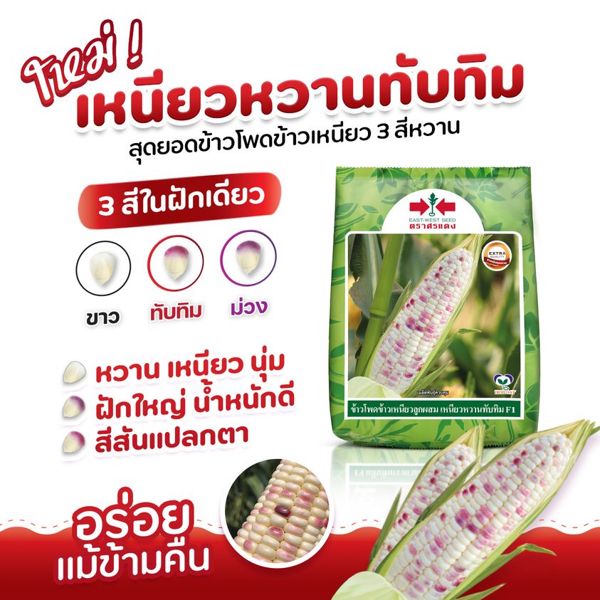 EWCOM 200กรัม ข้าวโพดลูกผสมข้าวโพดข้าวเหนียว เหนียวหวานทับทิม ตราศรแดง Corn