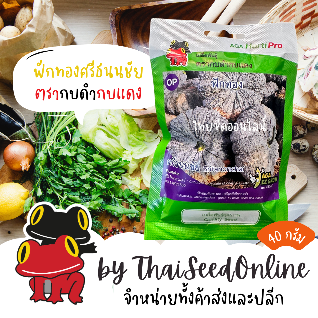 AGAHCOM เมล็ดพันธุ์ ฟักทอง ศรีธนนชัย 40กรัม ตรากบดำกบแดง Pumpkin