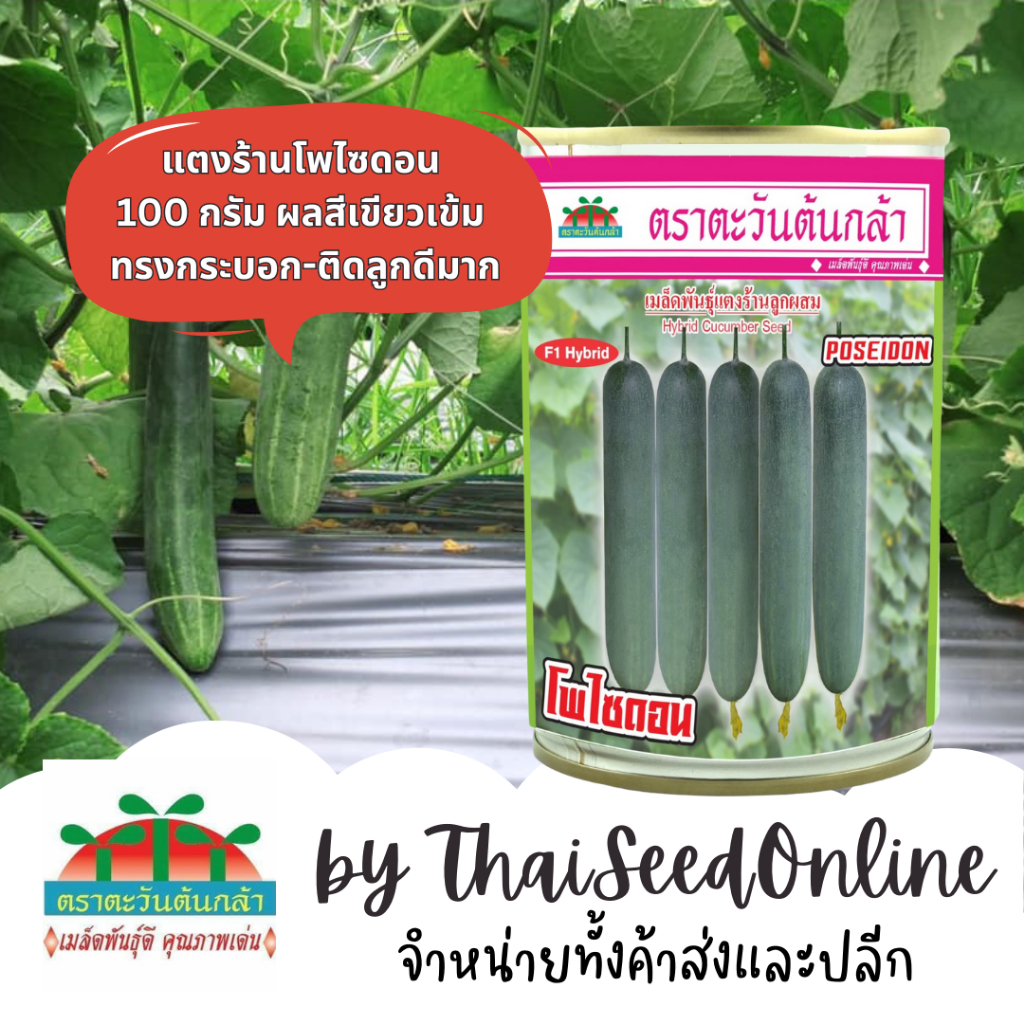 Advance Seeds(ตราตะวันต้นกล้า) ADV กป 100กรัม เมล็ดพันธุ์แตงร้าน โพไซดอน 100 กรัม ตราตะวันต้นกล้า Cucumber F1