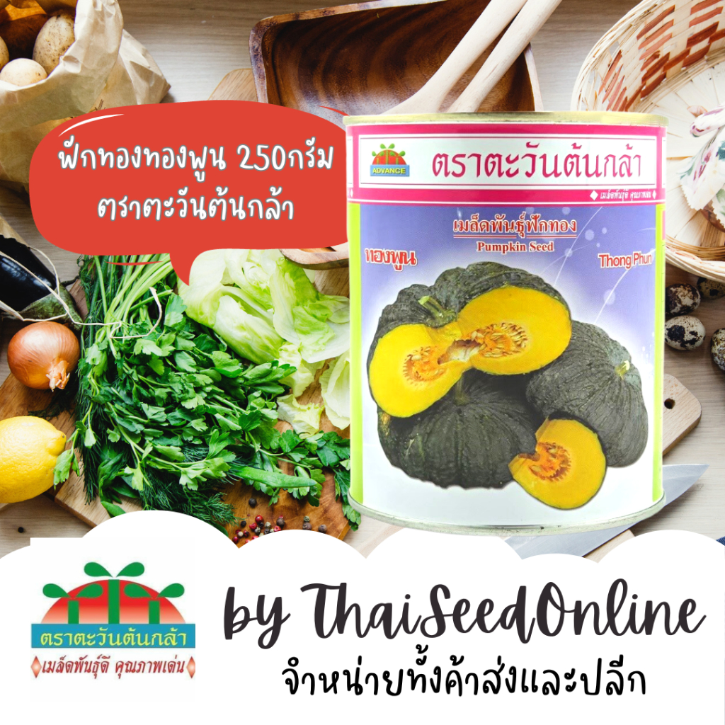 Advance Seeds(ตราตะวันต้นกล้า) ADV กป 250กรัม เมล็ดพันธุ์ ฟักทอง ทองพูน ฟักทองผิวคางคก ตราตะวันต้นกล้า Pumpkin