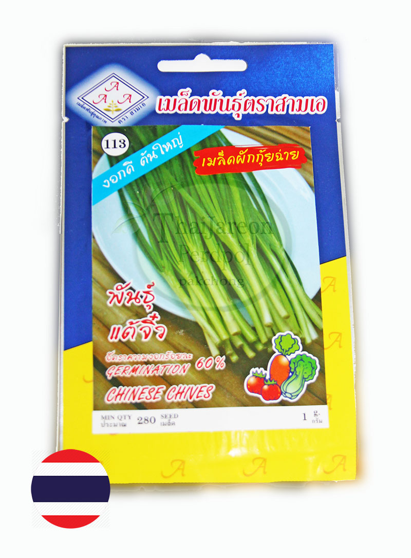เมล็ดผักกุ้ยช่าย กุยช่าย Chinese chives งอกดีต้นใหญ่ พันธุ์แต้จิ๋ว