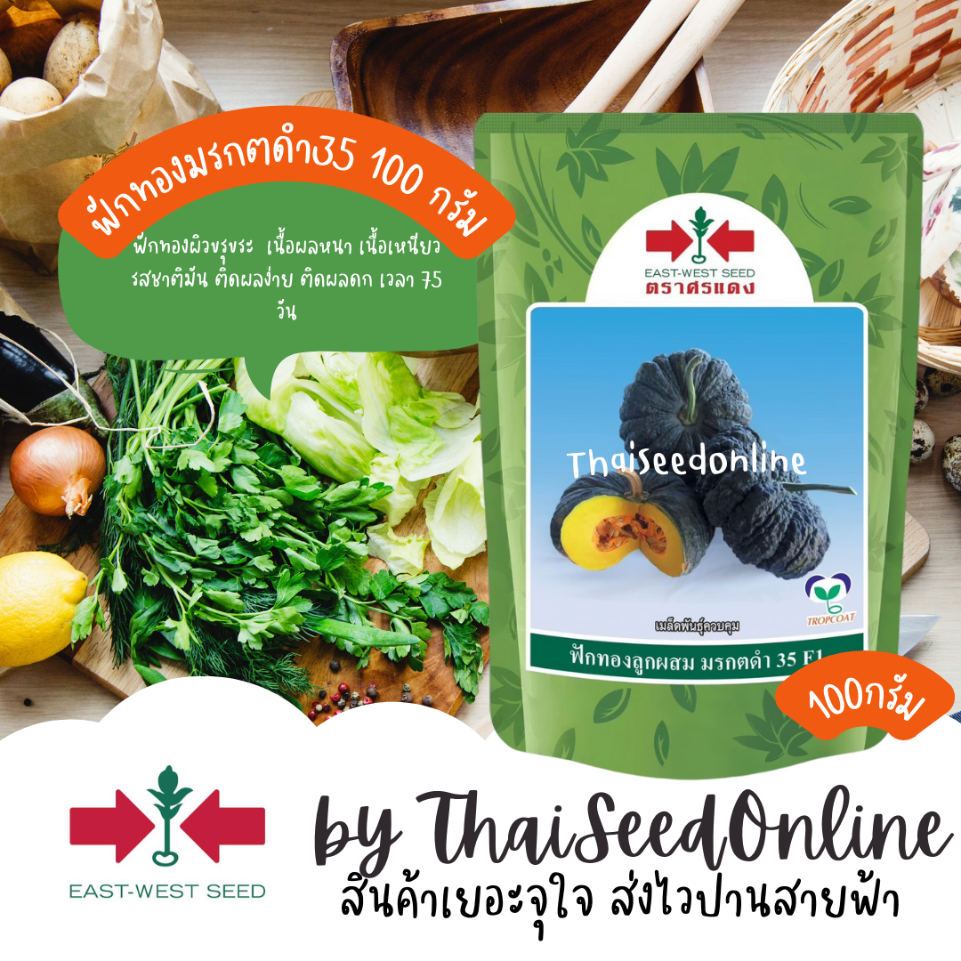 EWCOM โฉมใหม่ เมล็ดพันธุ์ ฟักทองมรกตดำ 35 100 กรัม ตราศรแดง