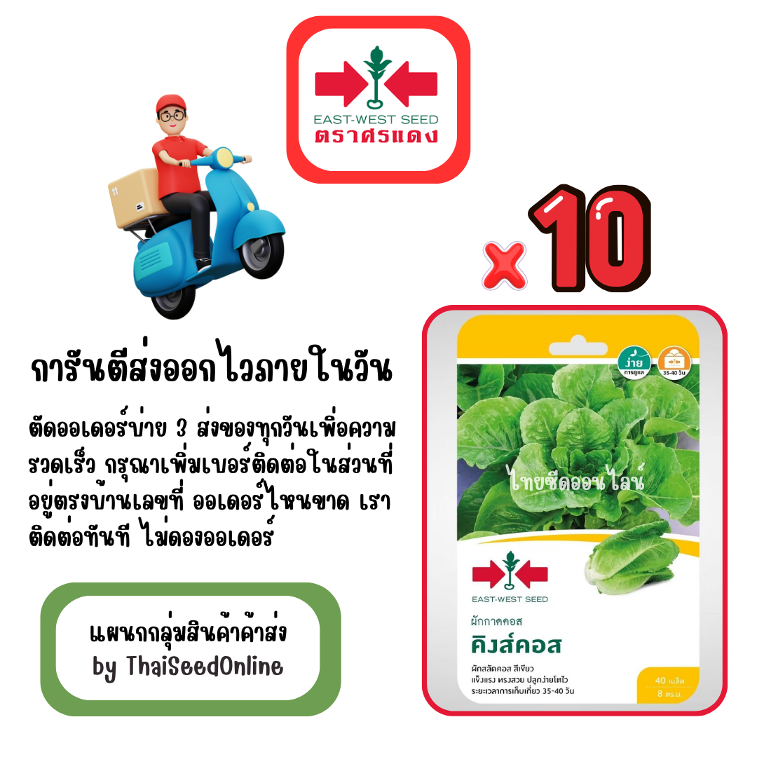 GGx10 เมล็ดผักซองศรแดง คิงส์คอส ผักกาดหอม สินค้ายกแพ็ค