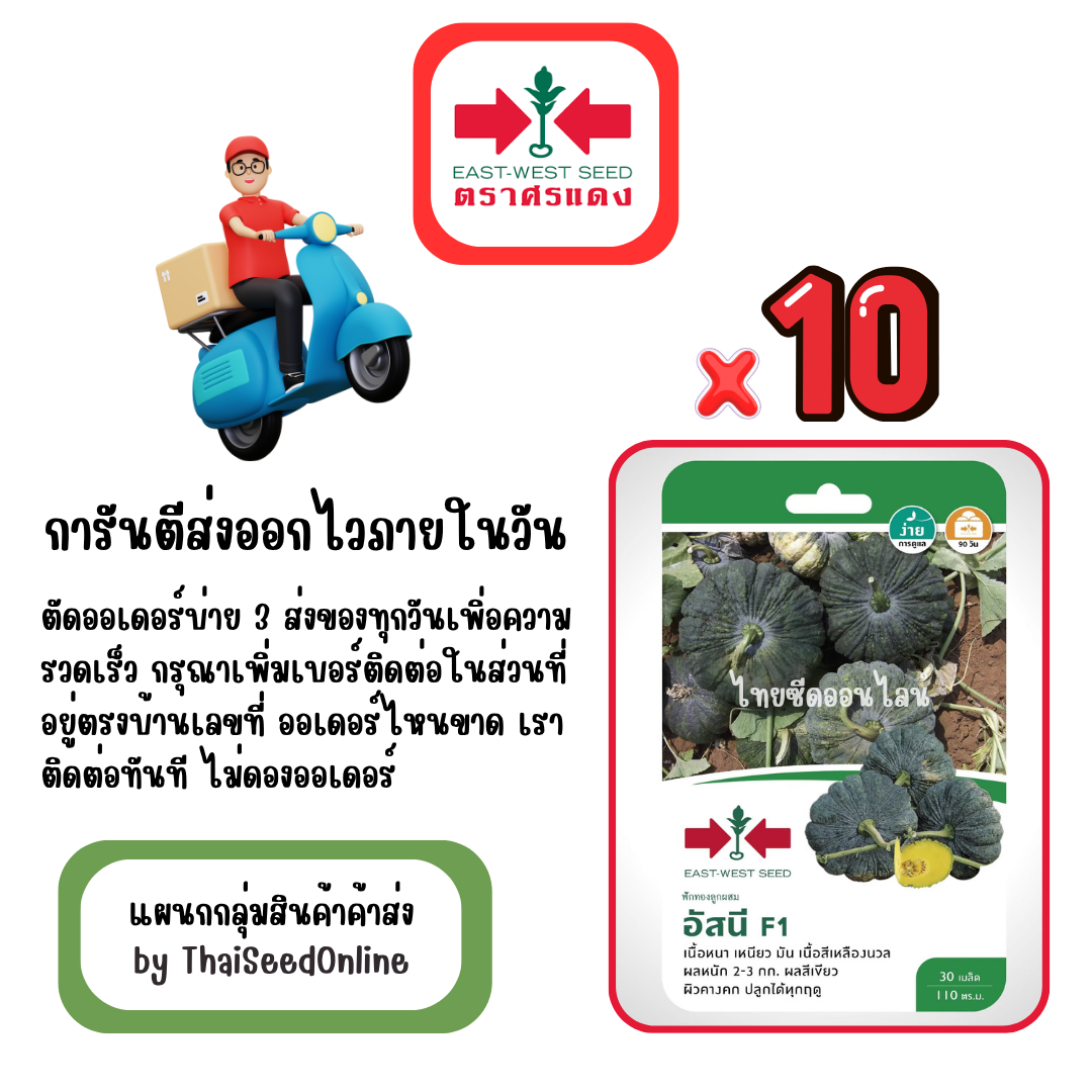 GGx10 เมล็ดผักซองศรแดง อัสนี ฟักทอง สินค้ายกแพ็ค