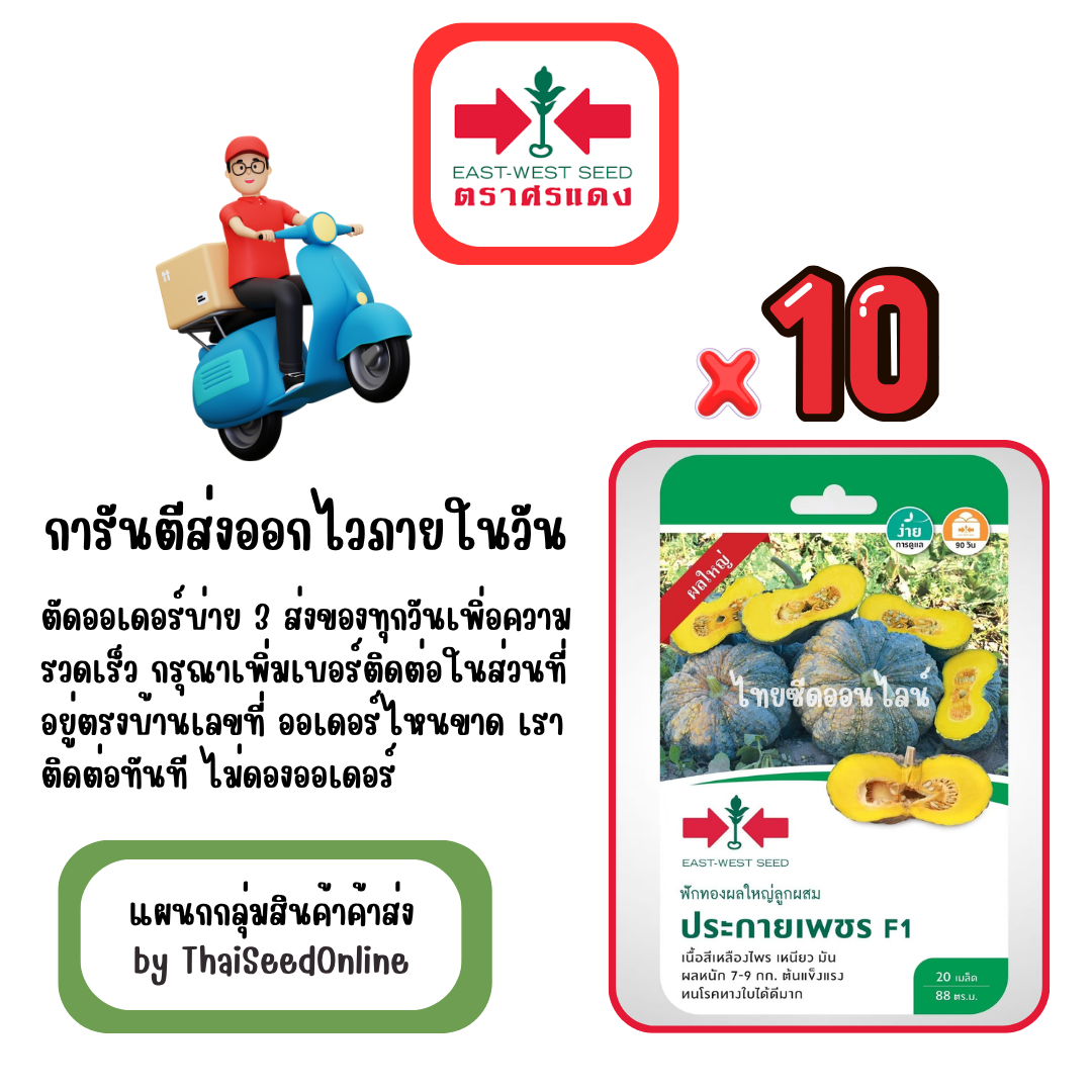 GGx10 เมล็ดผักซองศรแดง ประกายเพชร ฟักทอง สินค้ายกแพ็ค